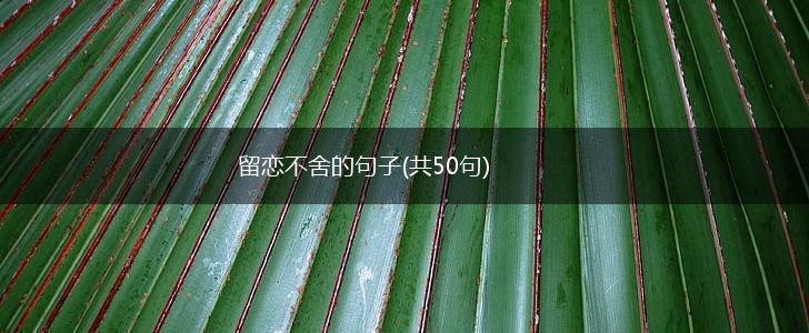 留恋不舍的句子(共50句),第1张