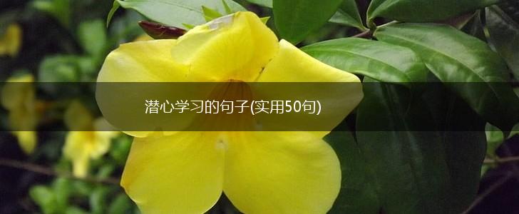 潜心学习的句子(实用50句),第1张