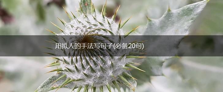 用拟人的手法写句子(必备20句),第1张