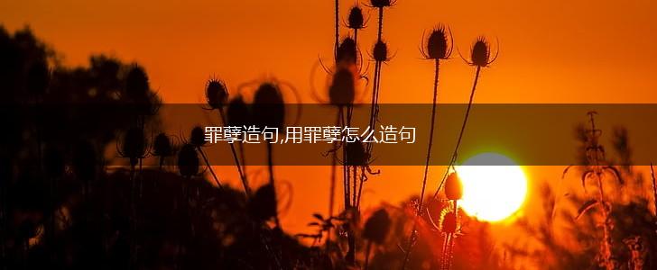 罪孽造句,用罪孽怎么造句,第1张 罪孽造句,用罪孽怎么造句,第1张