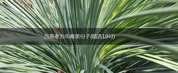 百善孝为先唯美句子(精选10句),第1张