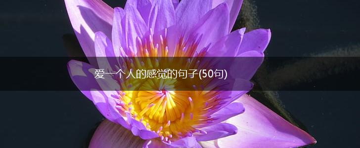 爱一个人的感觉的句子(50句),第1张