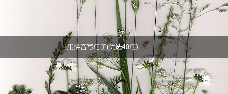 用拼音写句子(优选40句),第1张