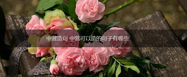 中营造句 中营可以造的句子有哪些,第1张