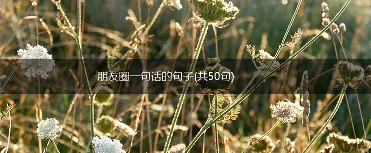 朋友圈一句话的句子(共50句),第1张