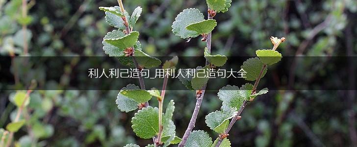 利人利己造句_用利人利己造句大全,第1张