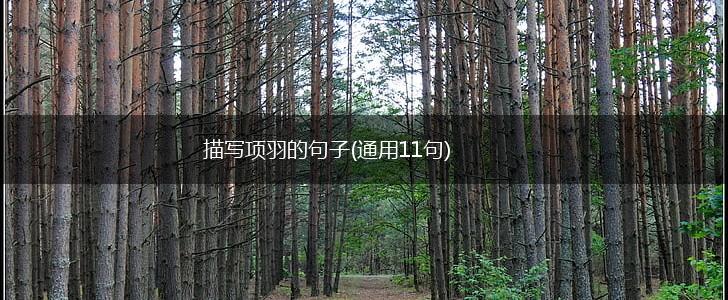 描写项羽的句子(通用11句),第1张