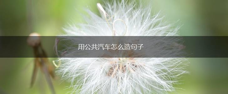 用公共汽车怎么造句子,第1张