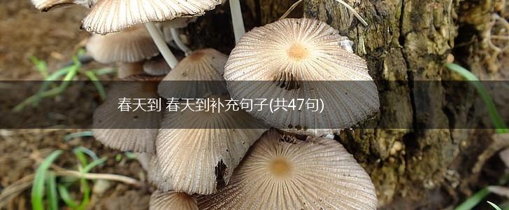 春天到 春天到补充句子(共47句),第1张