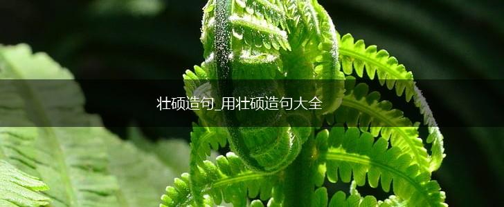 壮硕造句_用壮硕造句大全,第1张 壮硕造句_用壮硕造句大全,第1张