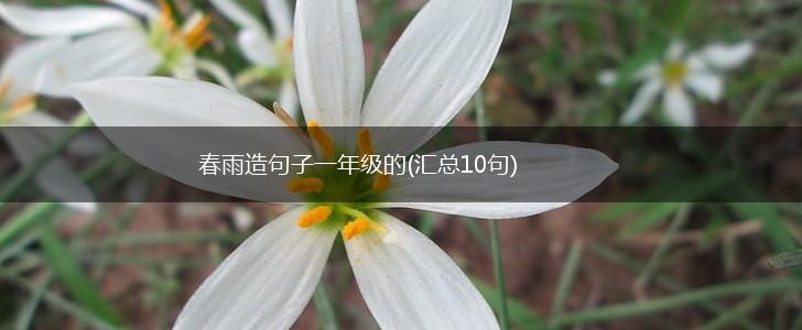 春雨造句子一年级的(汇总10句),第1张