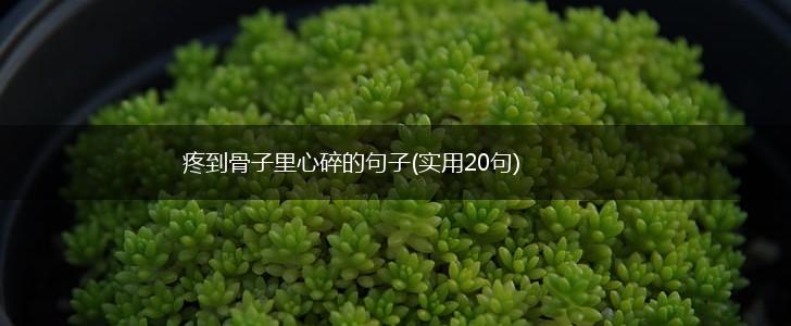 疼到骨子里心碎的句子(实用20句),第1张