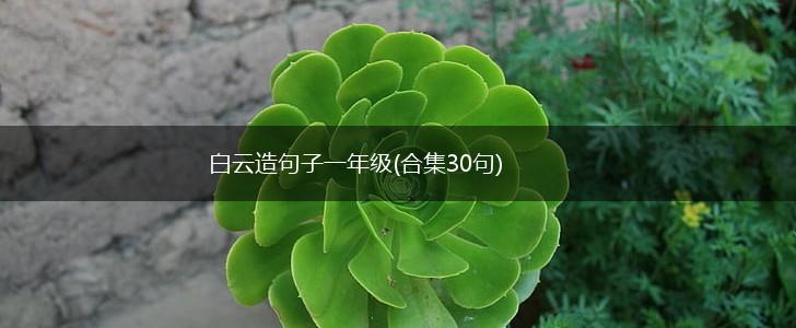 白云造句子一年级(合集30句),第1张
