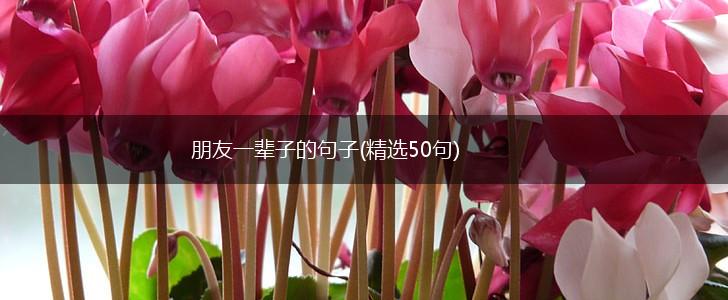 朋友一辈子的句子(精选50句),第1张