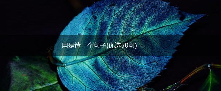 用是造一个句子(优选50句),第1张