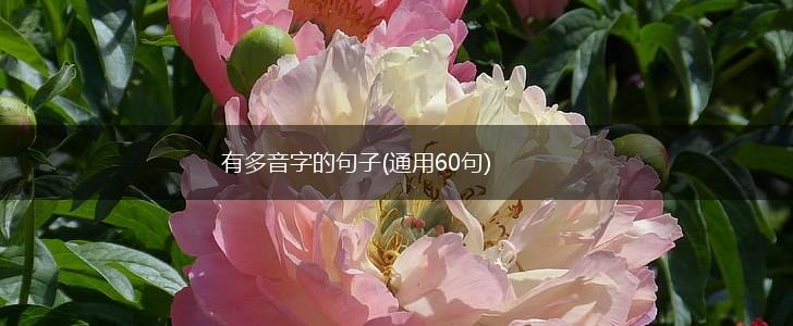 有多音字的句子(通用60句),第1张