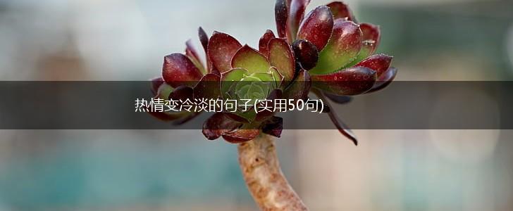 热情变冷淡的句子(实用50句),第1张