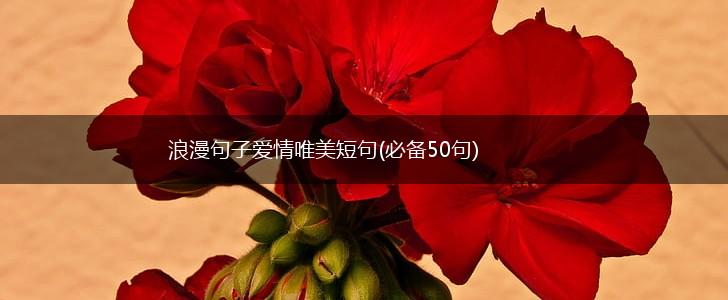 浪漫句子爱情唯美短句(必备50句),第1张
