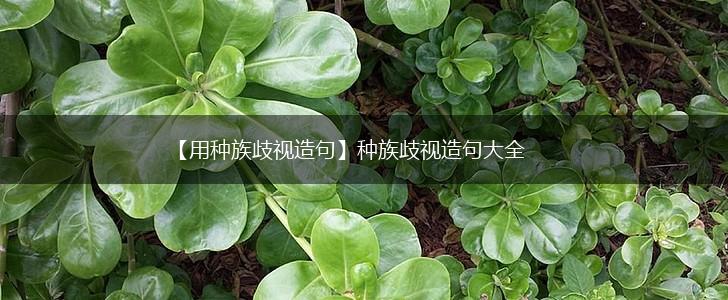 【用种族歧视造句】种族歧视造句大全,第1张 【用种族歧视造句】种族歧视造句大全,第1张