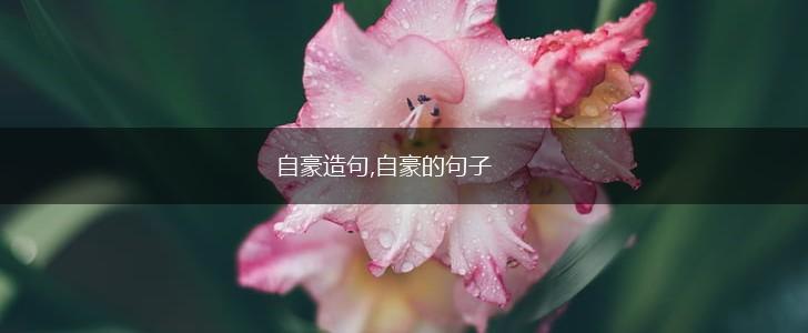 自豪造句,自豪的句子,第1张 自豪造句,自豪的句子,第1张