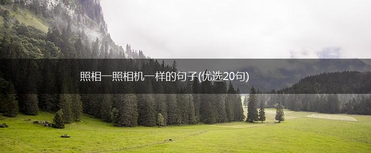 照相一照相机一样的句子(优选20句),第1张