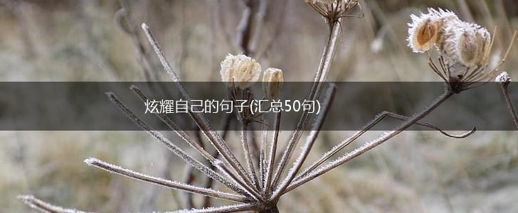 炫耀自己的句子(汇总50句),第1张