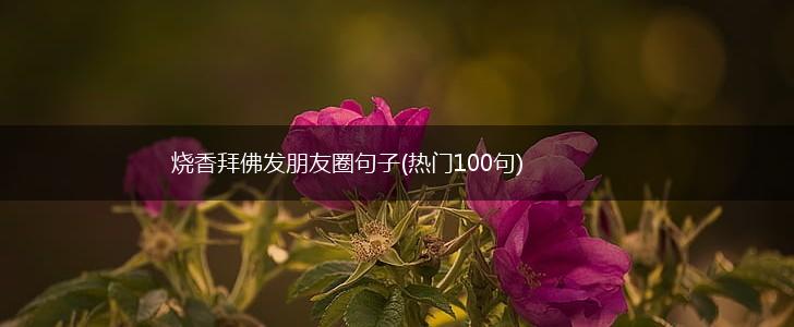 烧香拜佛发朋友圈句子(热门100句),第1张
