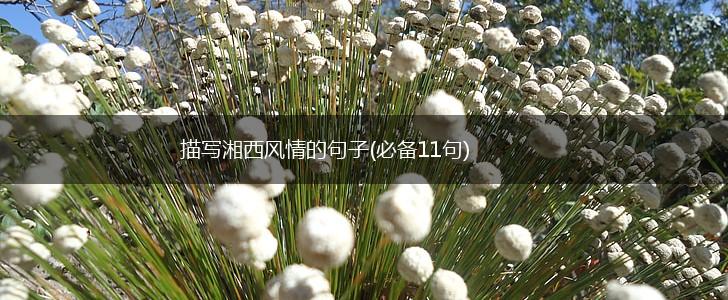 描写湘西风情的句子(必备11句),第1张
