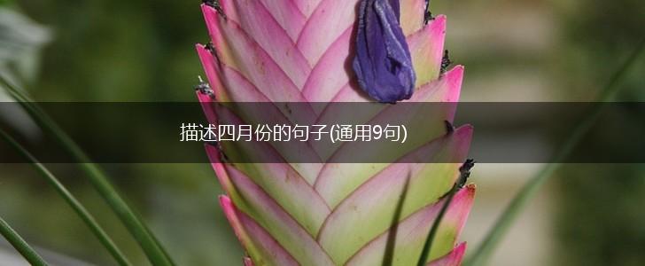 描述四月份的句子(通用9句),第1张