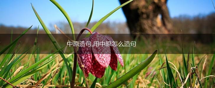 中原造句,用中原怎么造句,第1张 中原造句,用中原怎么造句,第1张