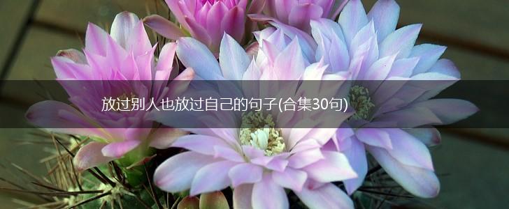 放过别人也放过自己的句子(合集30句),第1张