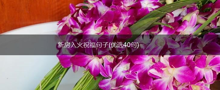 新房入火祝福句子(优选40句),第1张