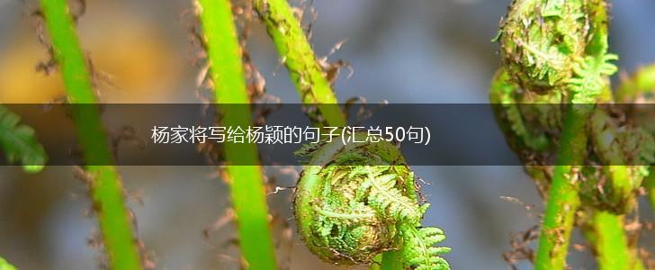 杨家将写给杨颖的句子(汇总50句),第1张