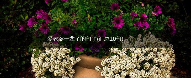 爱老婆一辈子的句子(汇总10句),第1张