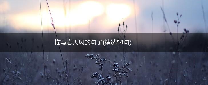 描写春天风的句子(精选54句),第1张
