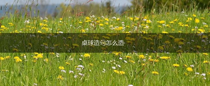 桌球造句怎么造,第1张 桌球造句怎么造,第1张