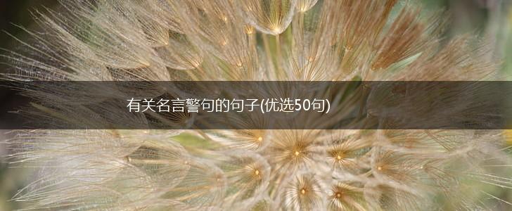 有关名言警句的句子(优选50句),第1张