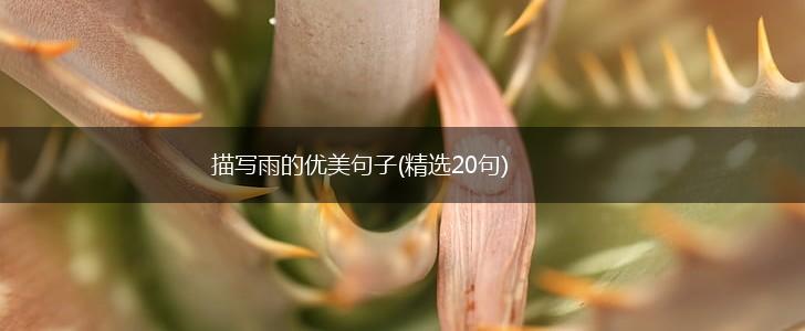 描写雨的优美句子(精选20句),第1张