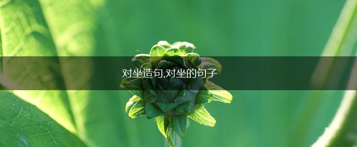 对坐造句,对坐的句子,第1张 对坐造句,对坐的句子,第1张