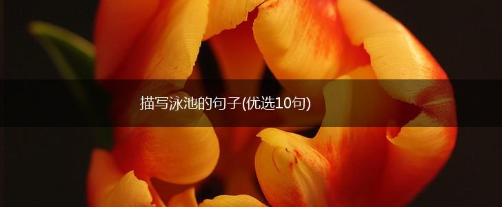 描写泳池的句子(优选10句),第1张