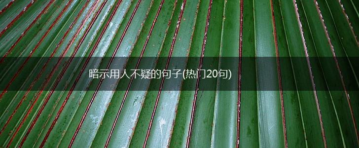 暗示用人不疑的句子(热门20句),第1张