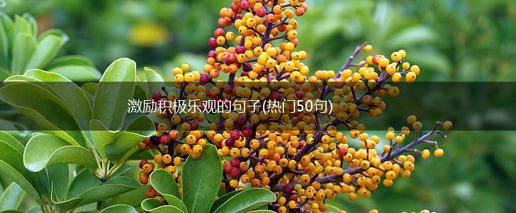激励积极乐观的句子(热门50句),第1张