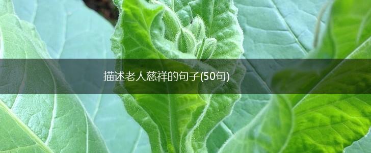 描述老人慈祥的句子(50句),第1张