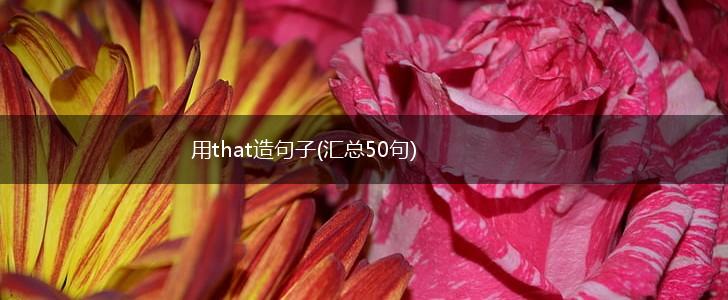 用that造句子(汇总50句),第1张