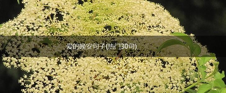 爱的晚安句子(热门30句),第1张