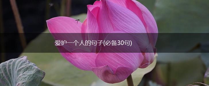 爱护一个人的句子(必备30句),第1张