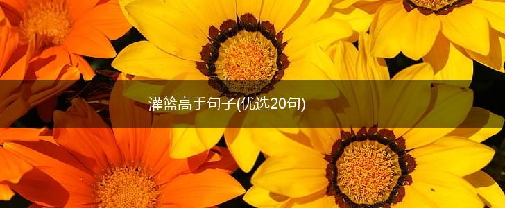 灌篮高手句子(优选20句),第1张