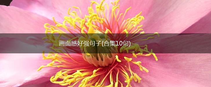 画面感好强句子(合集10句),第1张