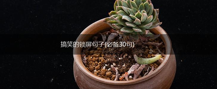 搞笑的锁屏句子(必备30句),第1张