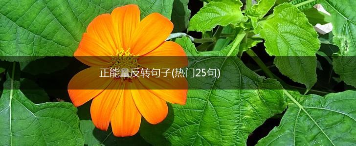 正能量反转句子(热门25句),第1张